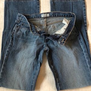 American Eagle Hipster Jean